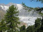 Le glacier d'Aletsch et ses petits...